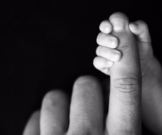 Mama Bears (and Papa&nbsp;Issues)